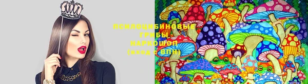 гидропоника Алексеевка