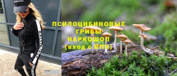 амфетамин Алексин